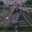 NoPlaceToStay
