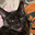 Kitty3.0