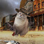 Pancake_cat