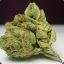 herbal
