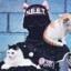 Kuixiji奎希冀