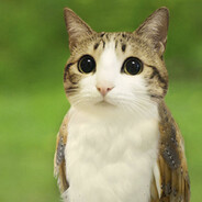 meowlforeverfan25