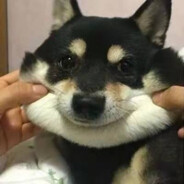 出口即国粹54188