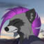 Rock-n-roll raccoon