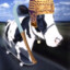 DaciaSpatiala-CS2Points_com
