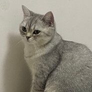 我的泡椒鱼皮呢🎆