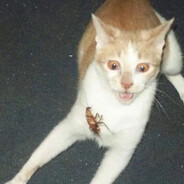 mrbñ