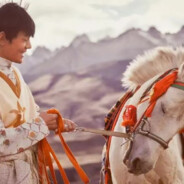 理塘最速伝說と青眼の白龍！小馬珍珠です！