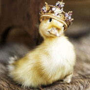 Queen Quackley XIV