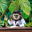 dr gibbon