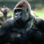 Stupid Gorilla (circumcised)