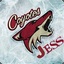 JeSS #R2LEM