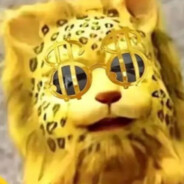 豹豹我呀富贵了呢