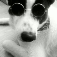 Lil B, The #BasedCat