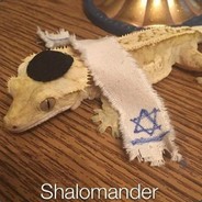 Shalomander