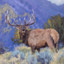 elk