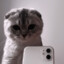 Purina
