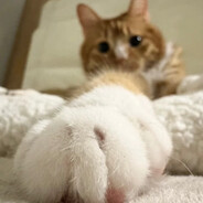 菜鸟驿站想寄就寄