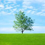 хуй в пальто