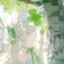 淼