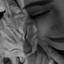 Nikalaich |184|