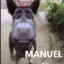 Manuel