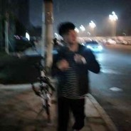 蜡笔小新给你看大象