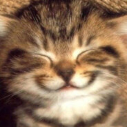 шкибидишка