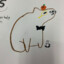 Mr_Capybara