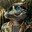 Mr. Gator