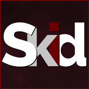 - Skd™ - steam id 76561197965874910