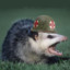 Doc Possum