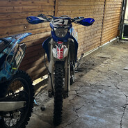 radostin3009