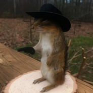 Virgulino Bicho Ruim