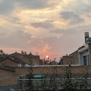 别盗我号谢谢啦求求了