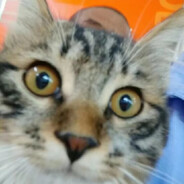 波力海波夹心脆