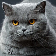 meow meow - steam id 76561197961169386