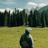 让我扣扣回城键