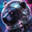 BanuBear