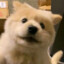 Da-Xing_