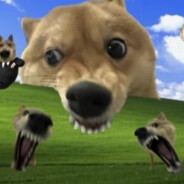 提升自己不如压力队友