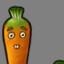 Doctor Carrot