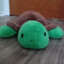 Ilkturtles