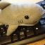 Requin