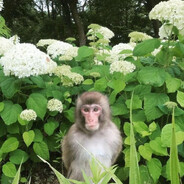 твой любимый эмси