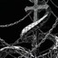 Black_Crow