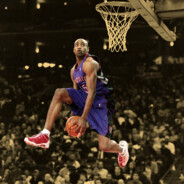 VINSANITY