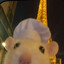 Maok
