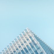 饿不死的薛定猫