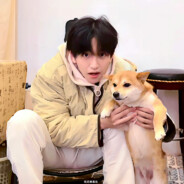 今天要吃肯德基